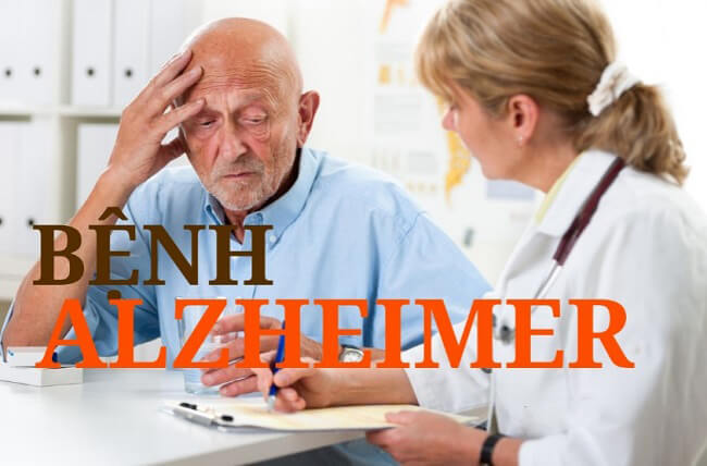 Quả nhãn có tác dụng đối với bệnh Alzheimer