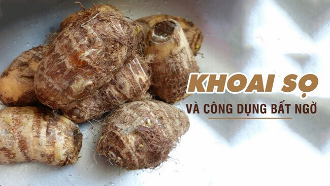 Tác dụng của khoai sọ đối với sức khỏe