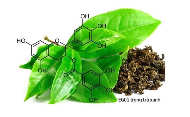 Thành phần hóa học của trà xanh