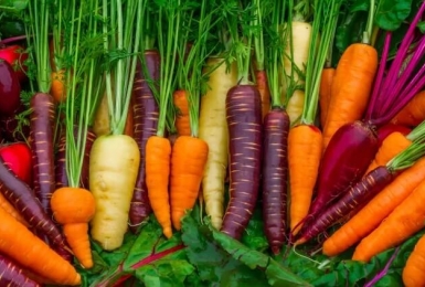 Những tác dụng tuyệt vời của cà rốt mà bạn nên biết