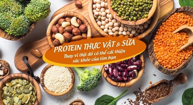 Dùng protein thực vật tốt cho tim mạch hơn protein từ động vật