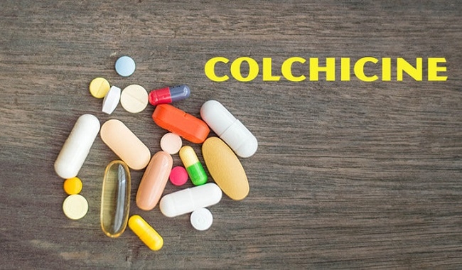 Colchicine là loại thuốc được dùng để ngăn chặn và điều trị cơn gout cấp tính