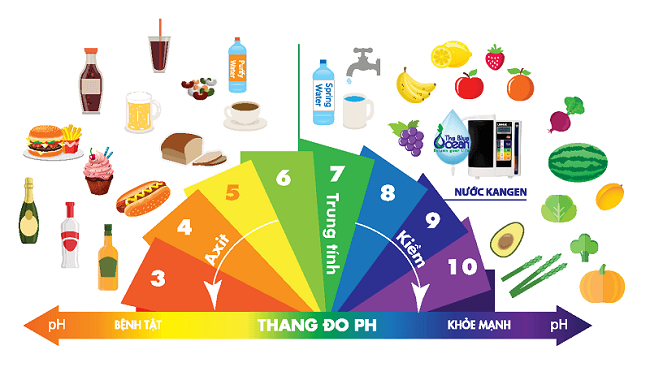 pH nước tiểu có thể bị ảnh hưởng do chế độ ăn hàng ngày