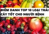 Điểm danh top 10 loại trái cây tốt cho người bệnh gout